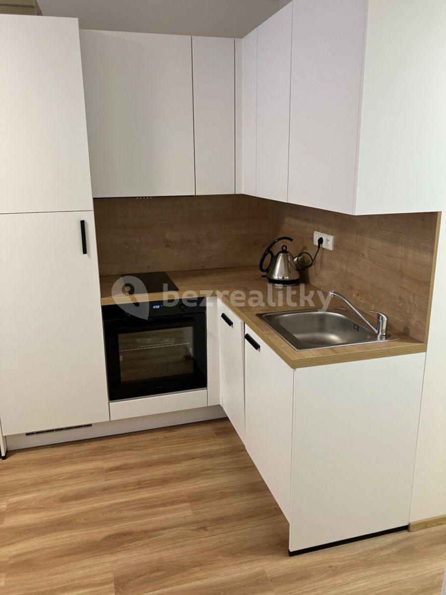 1 bedroom with open-plan kitchen flat to rent, 30 m², Plzeňská, Prague, Prague