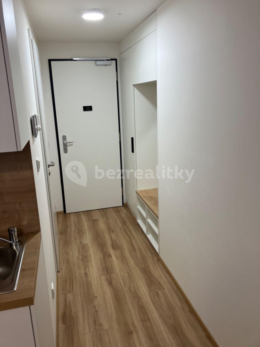 1 bedroom with open-plan kitchen flat to rent, 30 m², Plzeňská, Prague, Prague