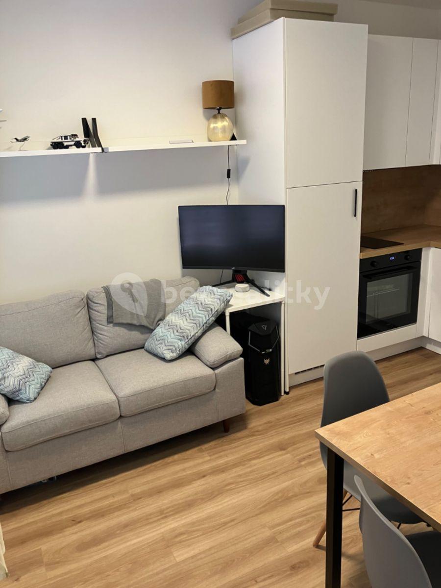 1 bedroom with open-plan kitchen flat to rent, 30 m², Plzeňská, Prague, Prague