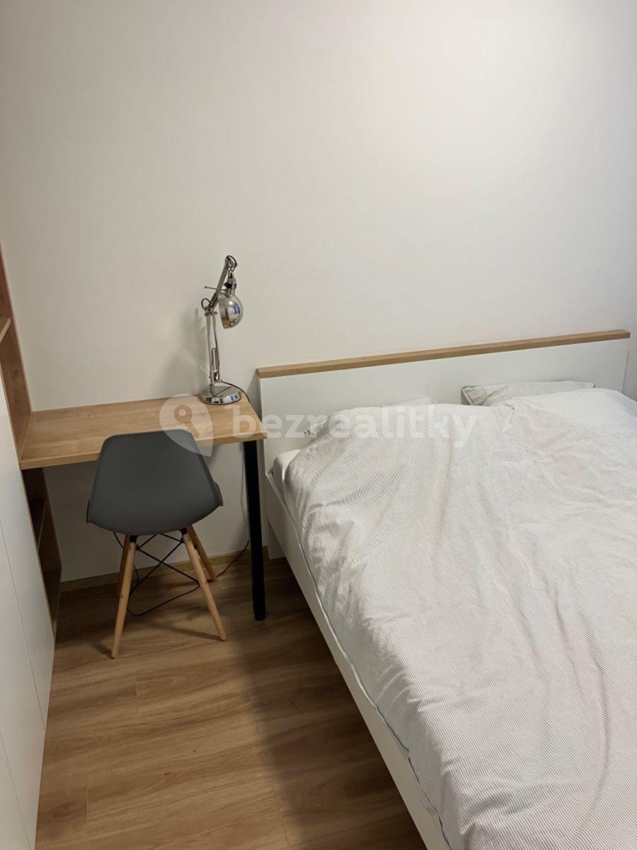 1 bedroom with open-plan kitchen flat to rent, 30 m², Plzeňská, Prague, Prague