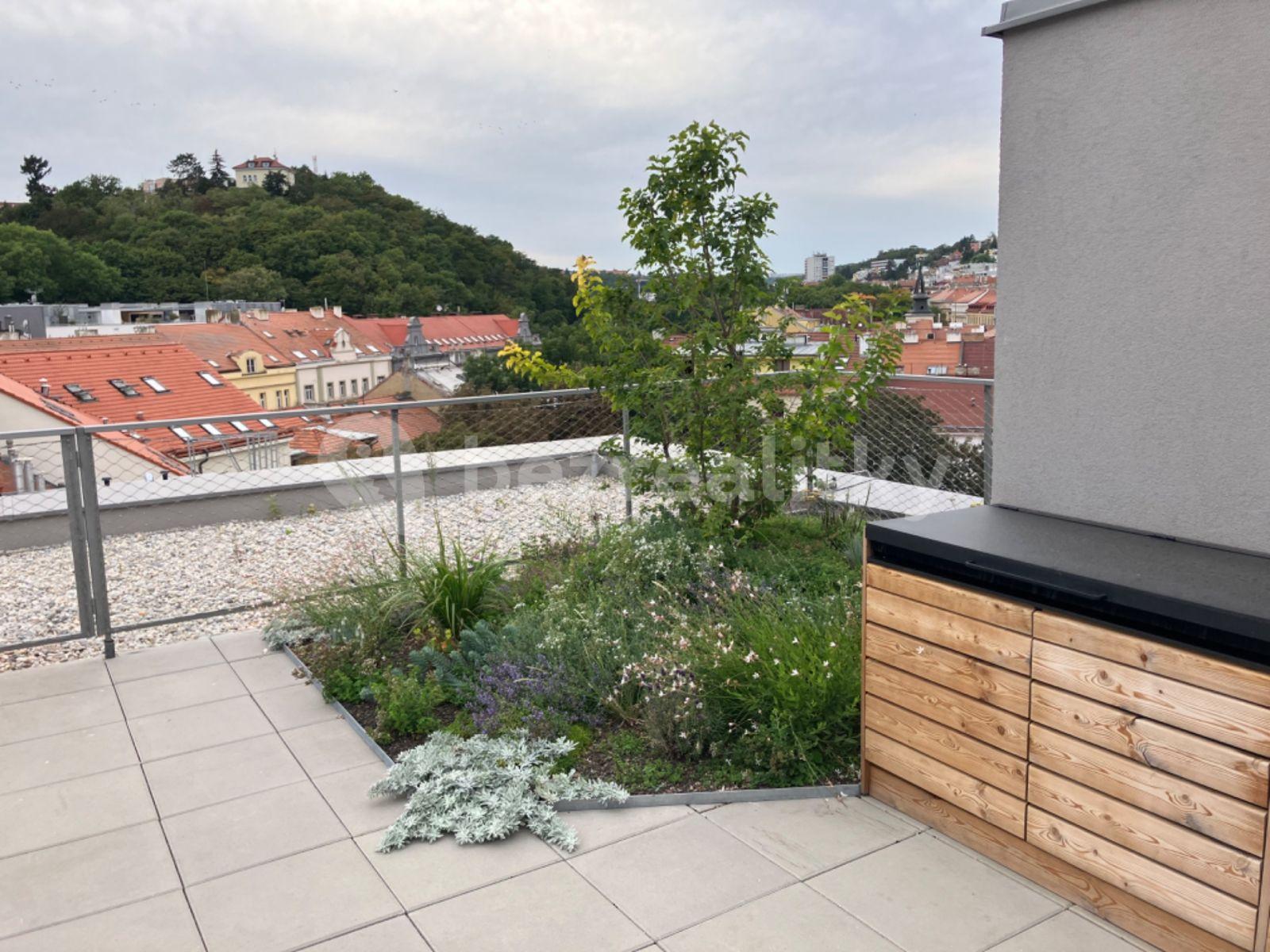 1 bedroom with open-plan kitchen flat to rent, 30 m², Plzeňská, Prague, Prague