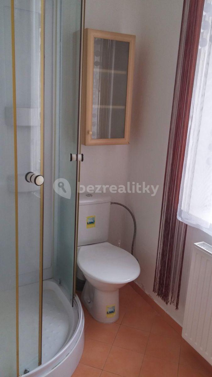 1 bedroom with open-plan kitchen flat to rent, 34 m², Fr. Škroupa, České Budějovice, Jihočeský Region