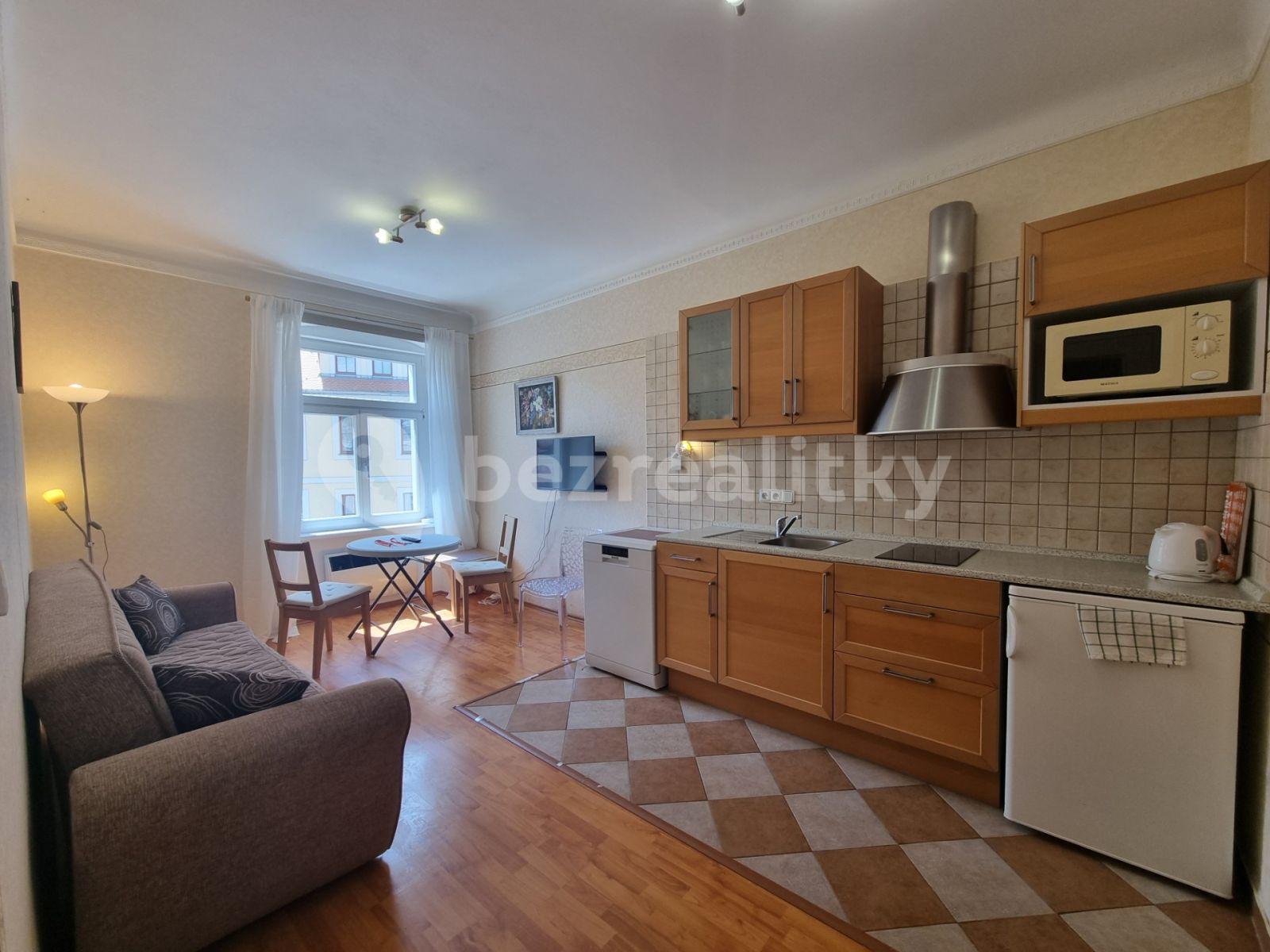 1 bedroom with open-plan kitchen flat to rent, 37 m², Zámecký vrch, Karlovy Vary, Karlovarský Region