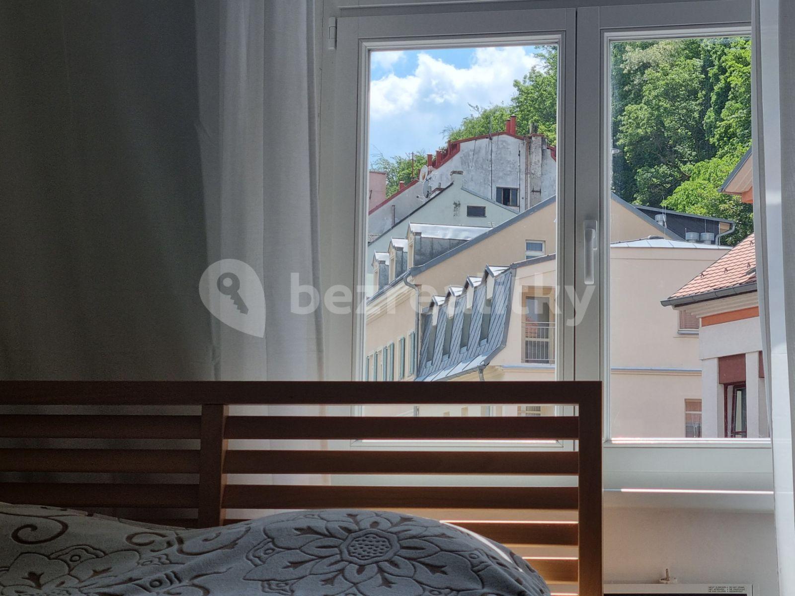 1 bedroom with open-plan kitchen flat to rent, 37 m², Zámecký vrch, Karlovy Vary, Karlovarský Region