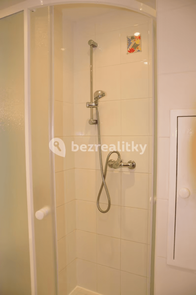 1 bedroom with open-plan kitchen flat to rent, 42 m², Pujmanové, Prague, Prague