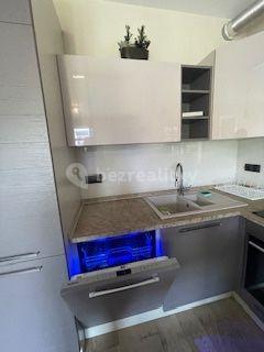 1 bedroom with open-plan kitchen flat to rent, 80 m², Voctářova, Prague, Prague