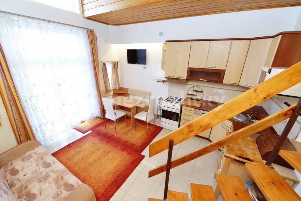 1 bedroom with open-plan kitchen flat to rent, 43 m², Nad Kolonií, Prague, Prague