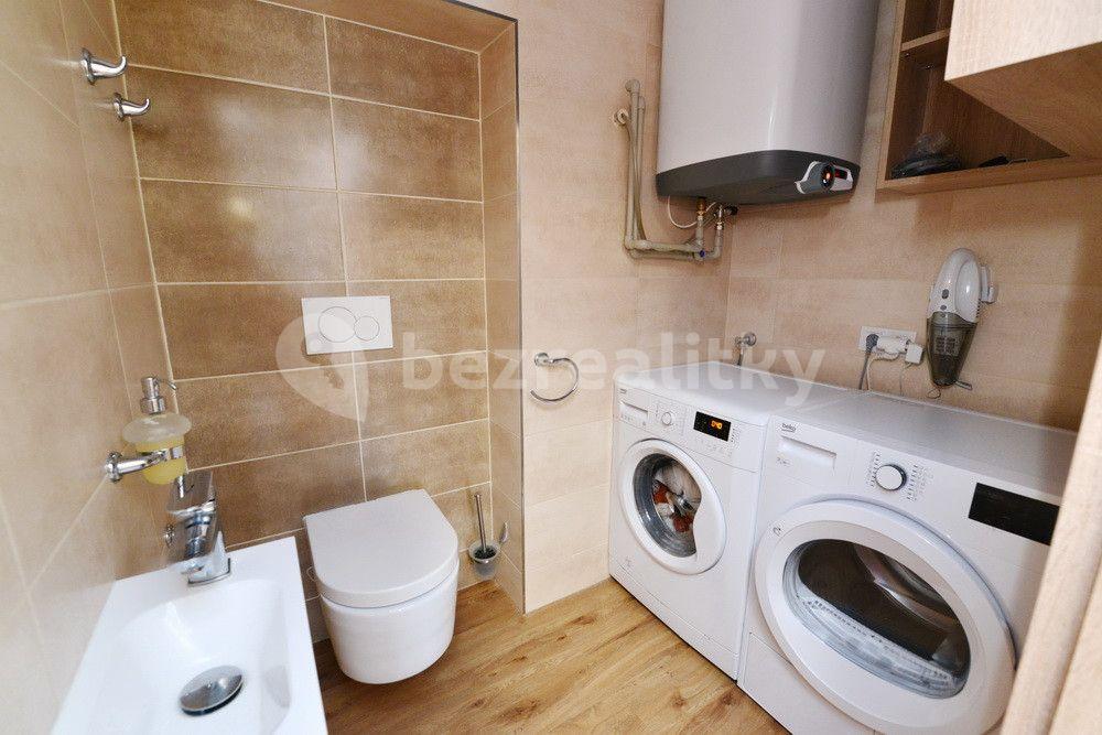 1 bedroom with open-plan kitchen flat to rent, 43 m², Nad Kolonií, Prague, Prague