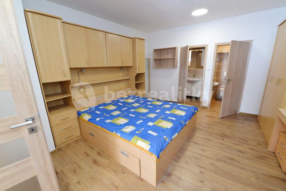 1 bedroom with open-plan kitchen flat to rent, 43 m², Nad Kolonií, Prague, Prague