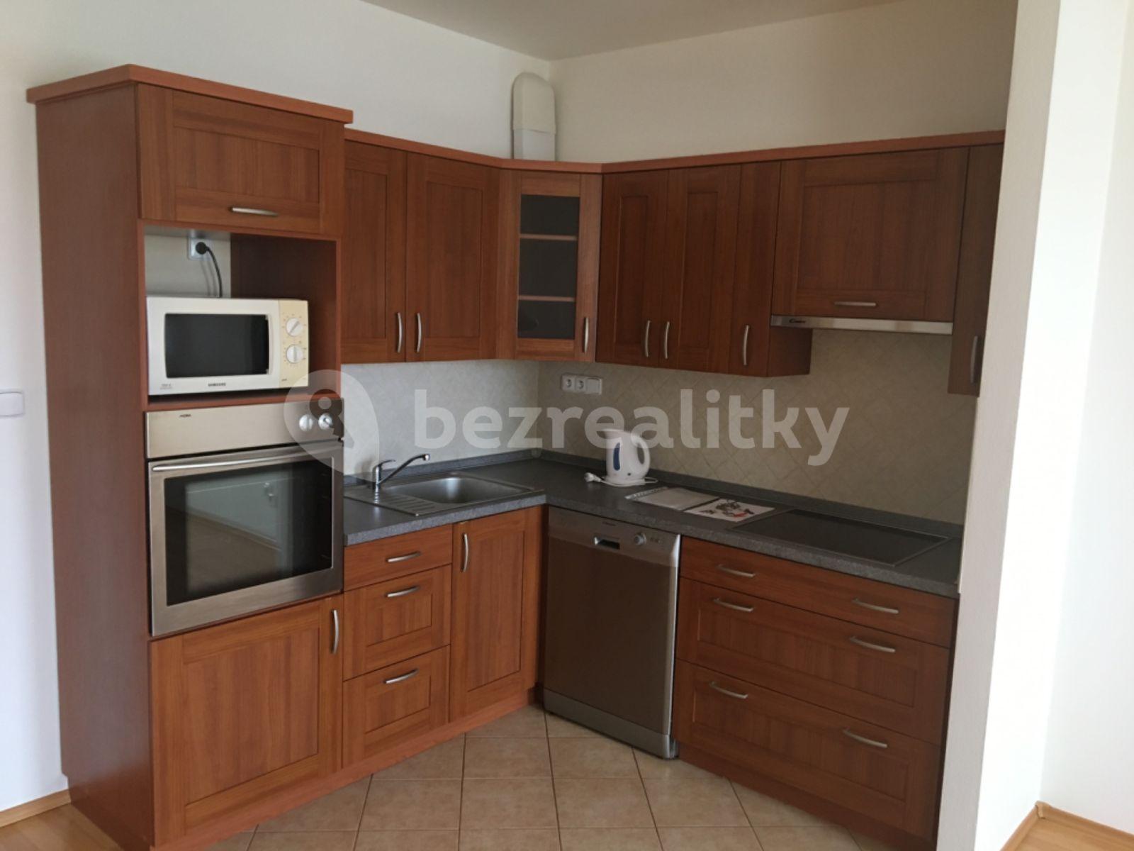 1 bedroom with open-plan kitchen flat to rent, 55 m², Lázeňská, Dobrá Voda u Českých Budějovic, Jihočeský Region