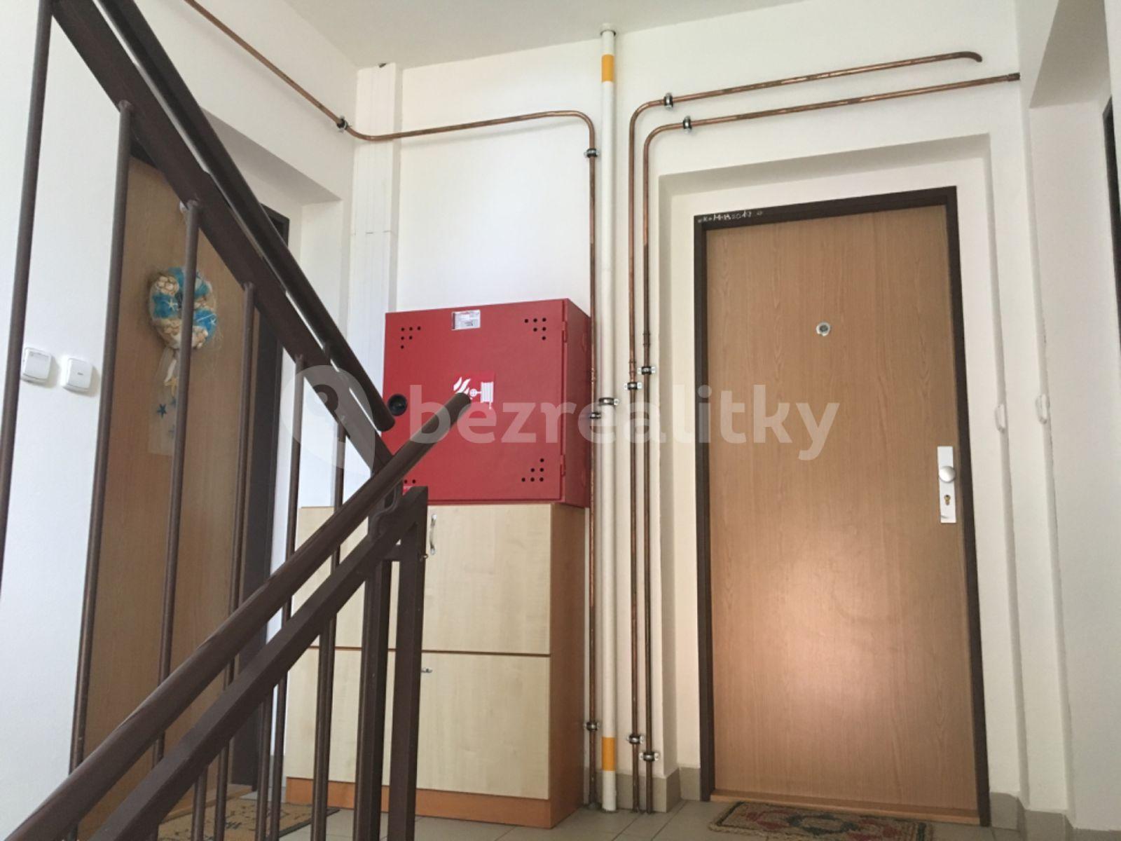 1 bedroom with open-plan kitchen flat to rent, 55 m², Lázeňská, Dobrá Voda u Českých Budějovic, Jihočeský Region