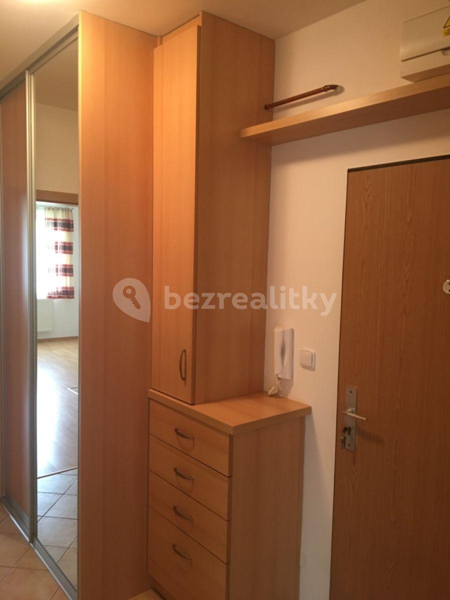 1 bedroom with open-plan kitchen flat to rent, 55 m², Lázeňská, Dobrá Voda u Českých Budějovic, Jihočeský Region