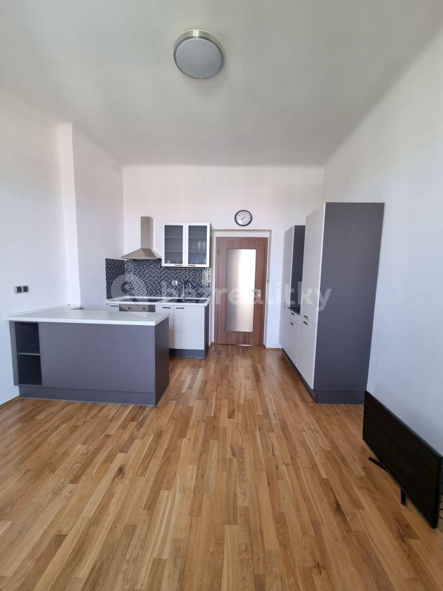 1 bedroom with open-plan kitchen flat to rent, 45 m², Baarova, Prague, Prague