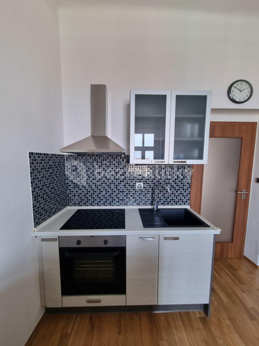 1 bedroom with open-plan kitchen flat to rent, 45 m², Baarova, Prague, Prague