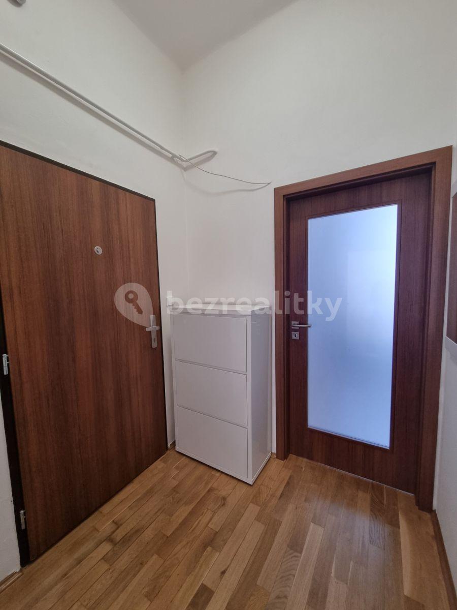 1 bedroom with open-plan kitchen flat to rent, 45 m², Baarova, Prague, Prague