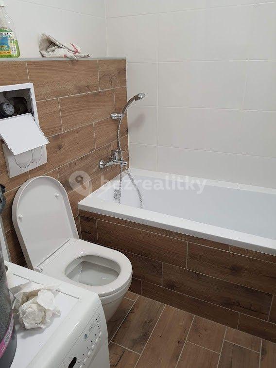 1 bedroom with open-plan kitchen flat to rent, 44 m², Lavičky, Vysočina Region