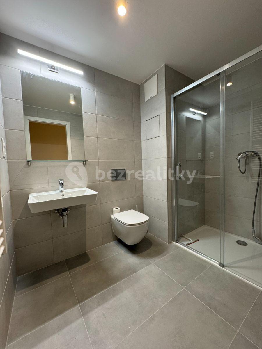 1 bedroom with open-plan kitchen flat to rent, 50 m², Nurmiho, Prague, Prague