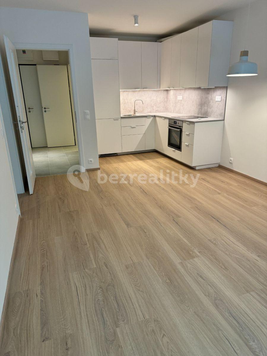 1 bedroom with open-plan kitchen flat to rent, 50 m², Nurmiho, Prague, Prague