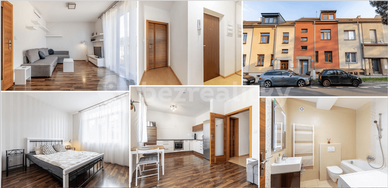 1 bedroom with open-plan kitchen flat to rent, 44 m², Viniční, Brno, Jihomoravský Region