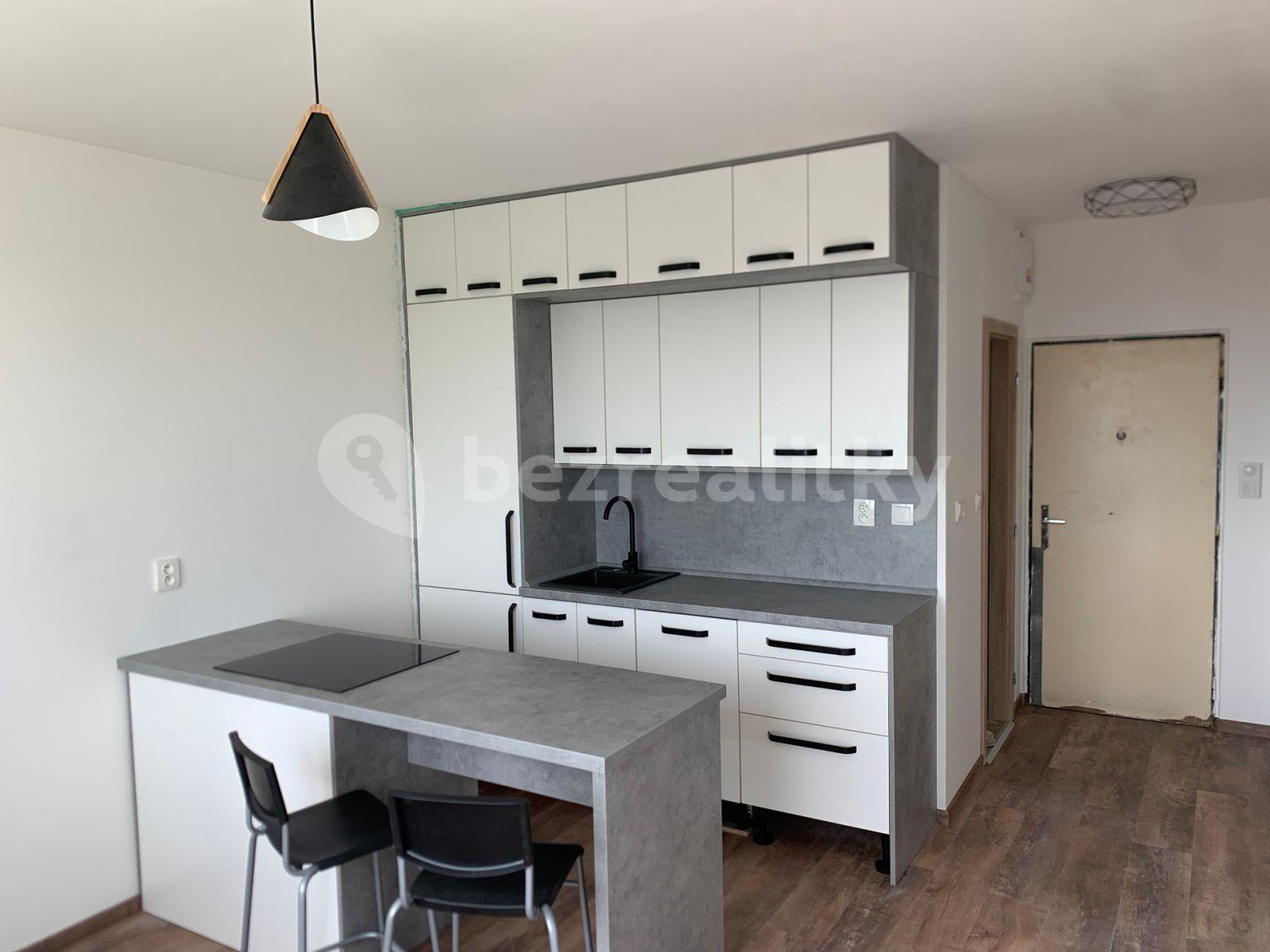 1 bedroom with open-plan kitchen flat to rent, 35 m², U Zámeckého parku, Litvínov, Ústecký Region