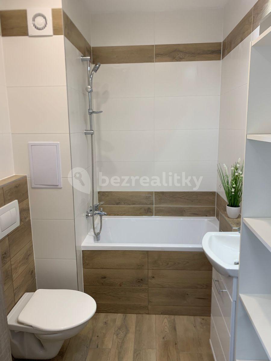 1 bedroom with open-plan kitchen flat to rent, 35 m², U Zámeckého parku, Litvínov, Ústecký Region