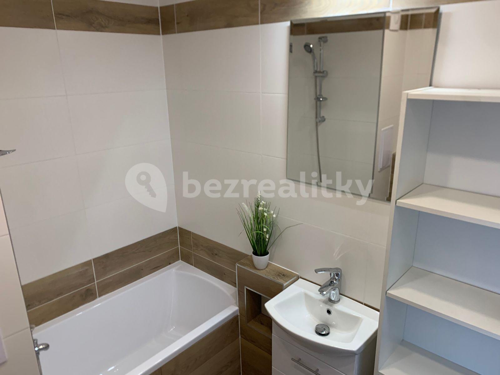 1 bedroom with open-plan kitchen flat to rent, 35 m², U Zámeckého parku, Litvínov, Ústecký Region