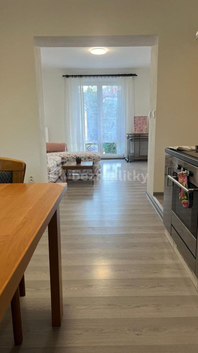 1 bedroom with open-plan kitchen flat to rent, 50 m², Sídliště 9. května, Sázava, Středočeský Region