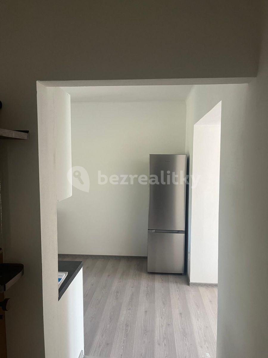 1 bedroom with open-plan kitchen flat to rent, 50 m², Sídliště 9. května, Sázava, Středočeský Region