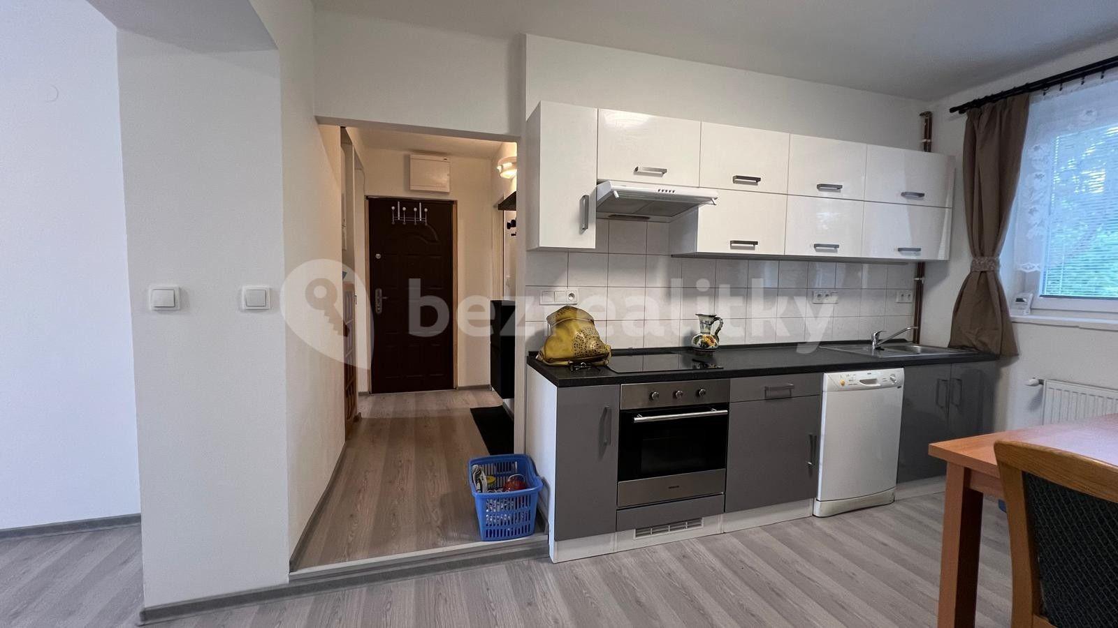 1 bedroom with open-plan kitchen flat to rent, 50 m², Sídliště 9. května, Sázava, Středočeský Region