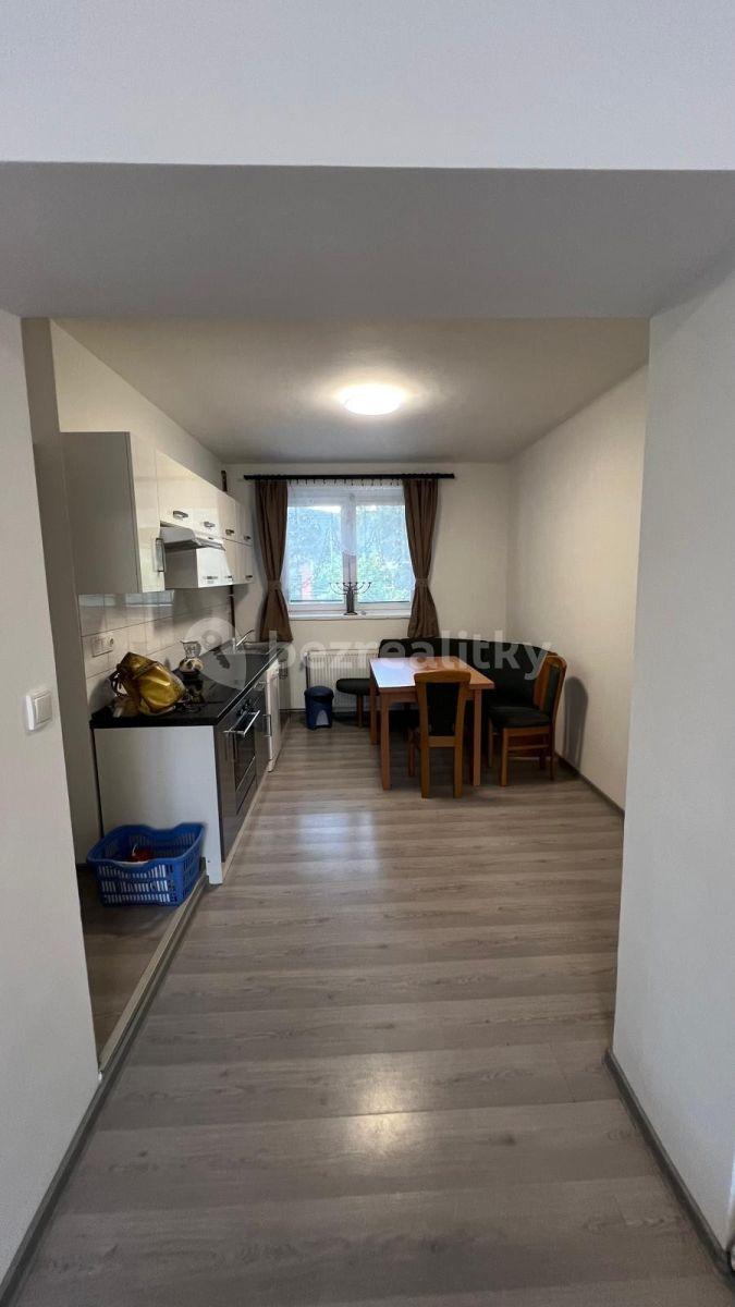 1 bedroom with open-plan kitchen flat to rent, 50 m², Sídliště 9. května, Sázava, Středočeský Region