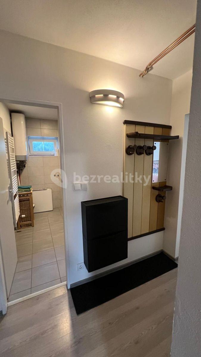 1 bedroom with open-plan kitchen flat to rent, 50 m², Sídliště 9. května, Sázava, Středočeský Region