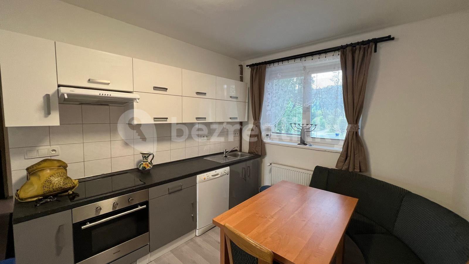 1 bedroom with open-plan kitchen flat to rent, 50 m², Sídliště 9. května, Sázava, Středočeský Region