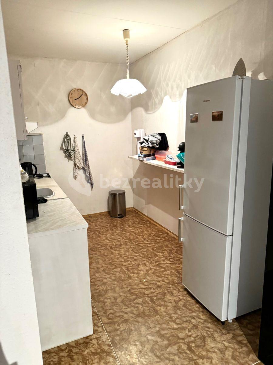 1 bedroom with open-plan kitchen flat to rent, 52 m², Hostinského, Prague, Prague