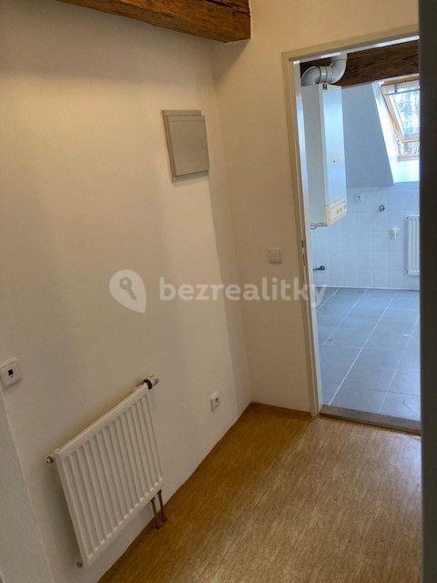 Studio flat to rent, 40 m², Soutice, Středočeský Region