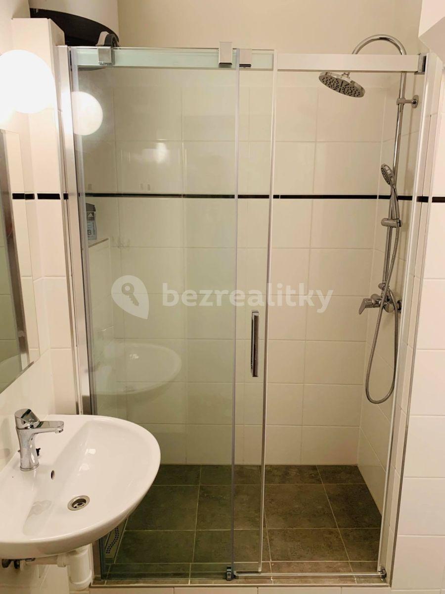 1 bedroom with open-plan kitchen flat to rent, 46 m², Ruská, Prague, Prague