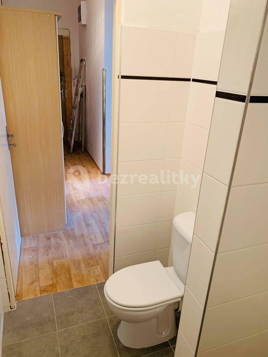 1 bedroom with open-plan kitchen flat to rent, 46 m², Ruská, Prague, Prague