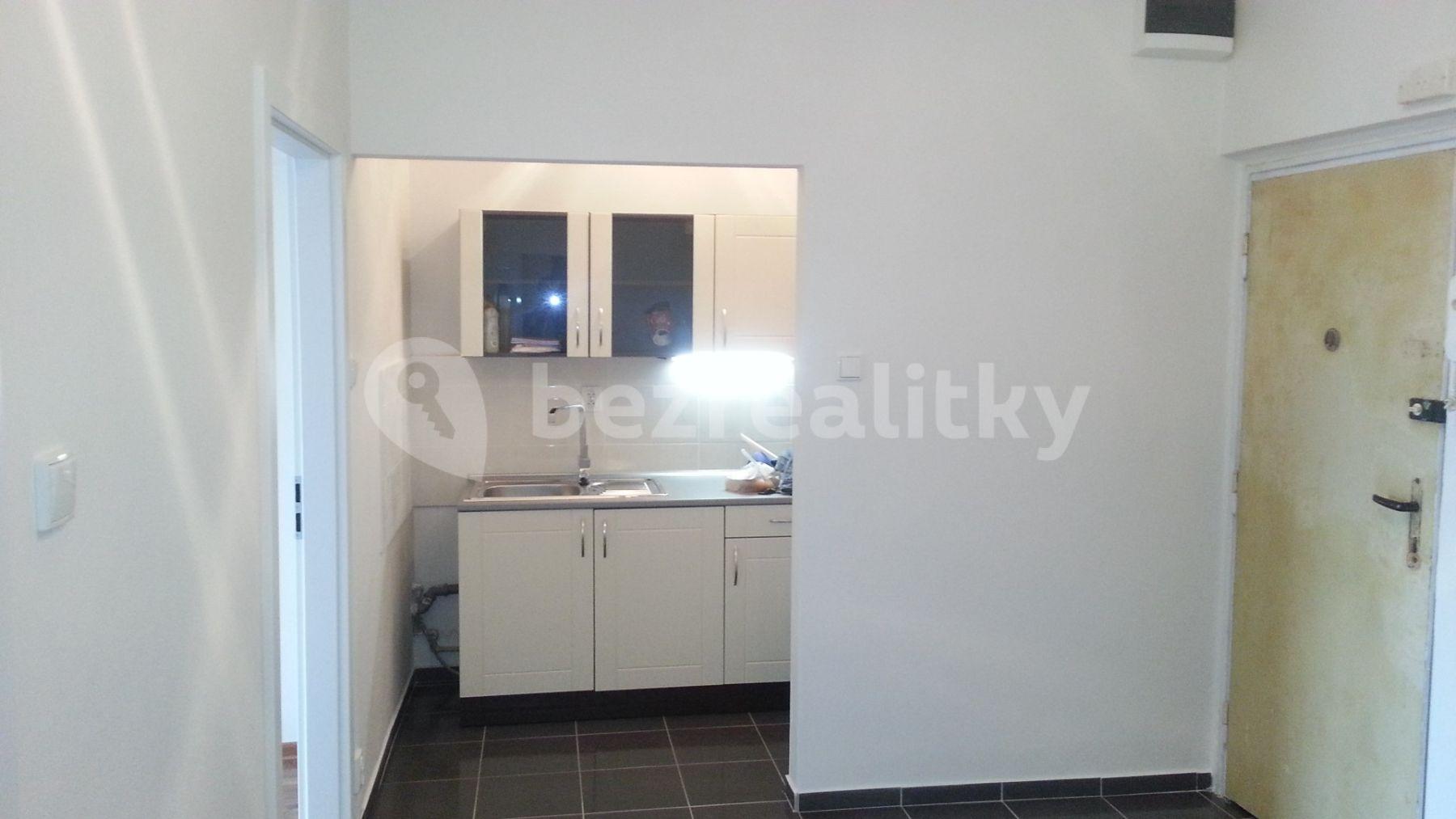 1 bedroom with open-plan kitchen flat to rent, 55 m², Jana Želivského, Prague, Prague