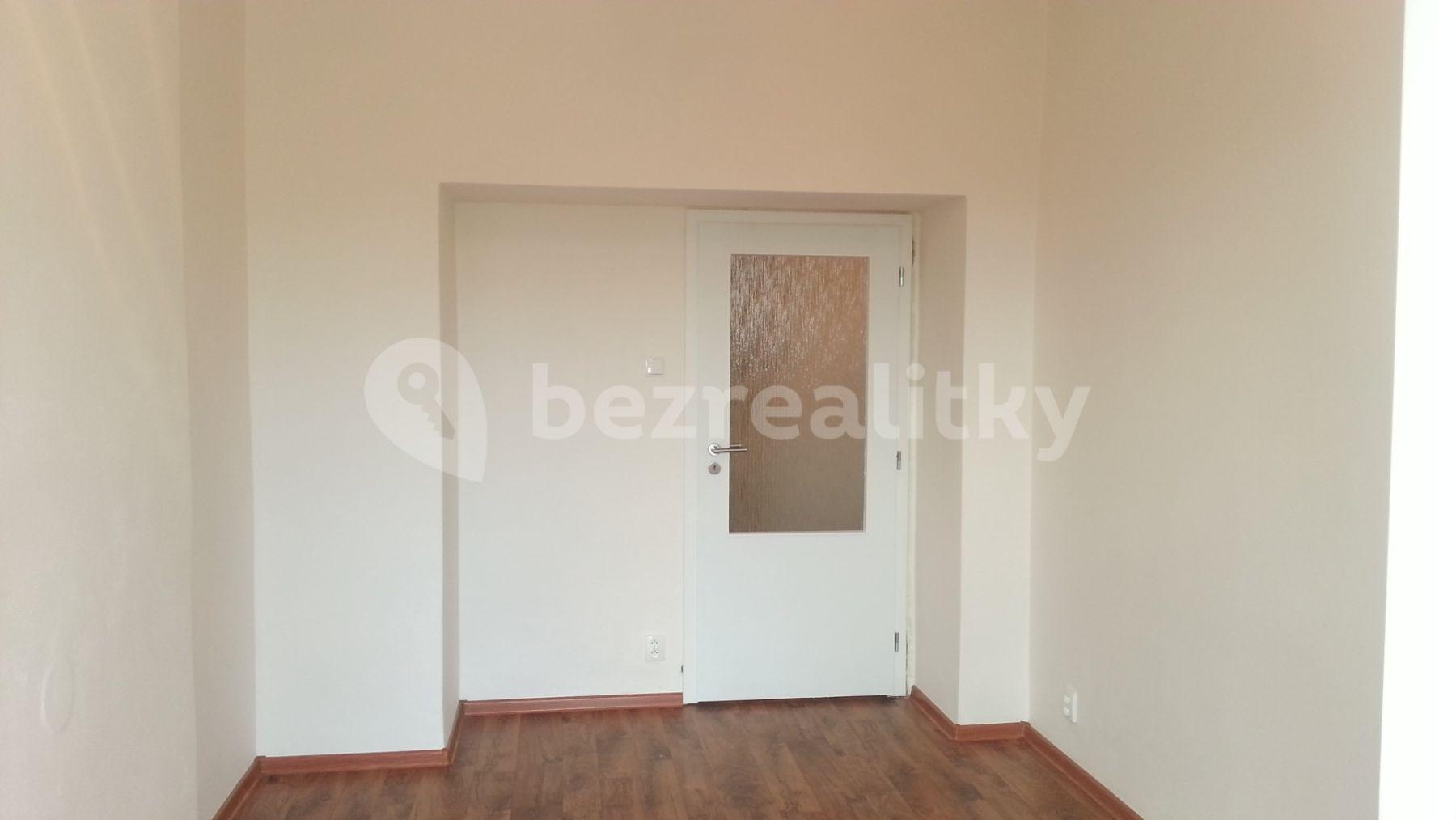 1 bedroom with open-plan kitchen flat to rent, 55 m², Jana Želivského, Prague, Prague