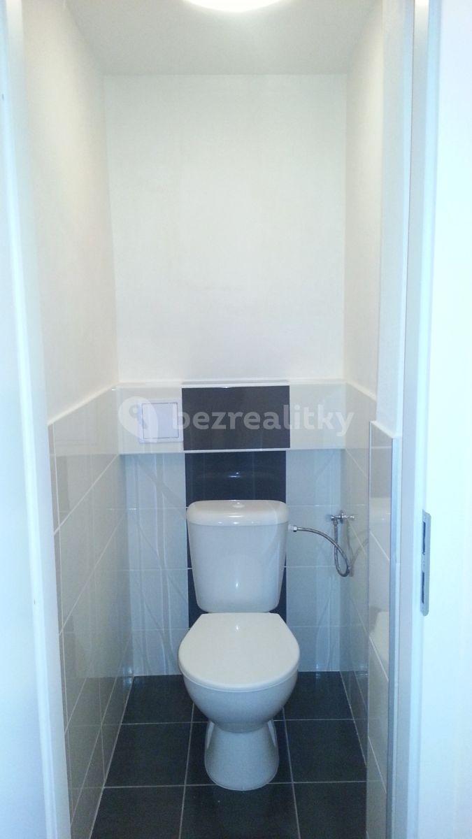 1 bedroom with open-plan kitchen flat to rent, 55 m², Jana Želivského, Prague, Prague