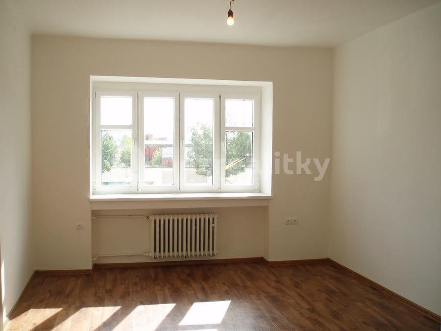 1 bedroom with open-plan kitchen flat to rent, 55 m², Jana Želivského, Prague, Prague