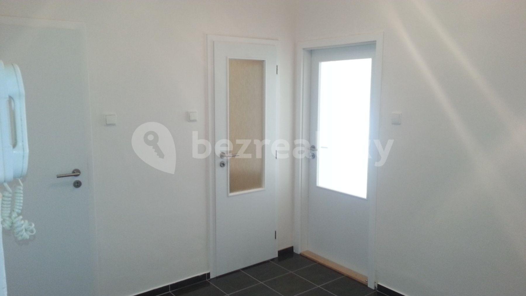 1 bedroom with open-plan kitchen flat to rent, 55 m², Jana Želivského, Prague, Prague