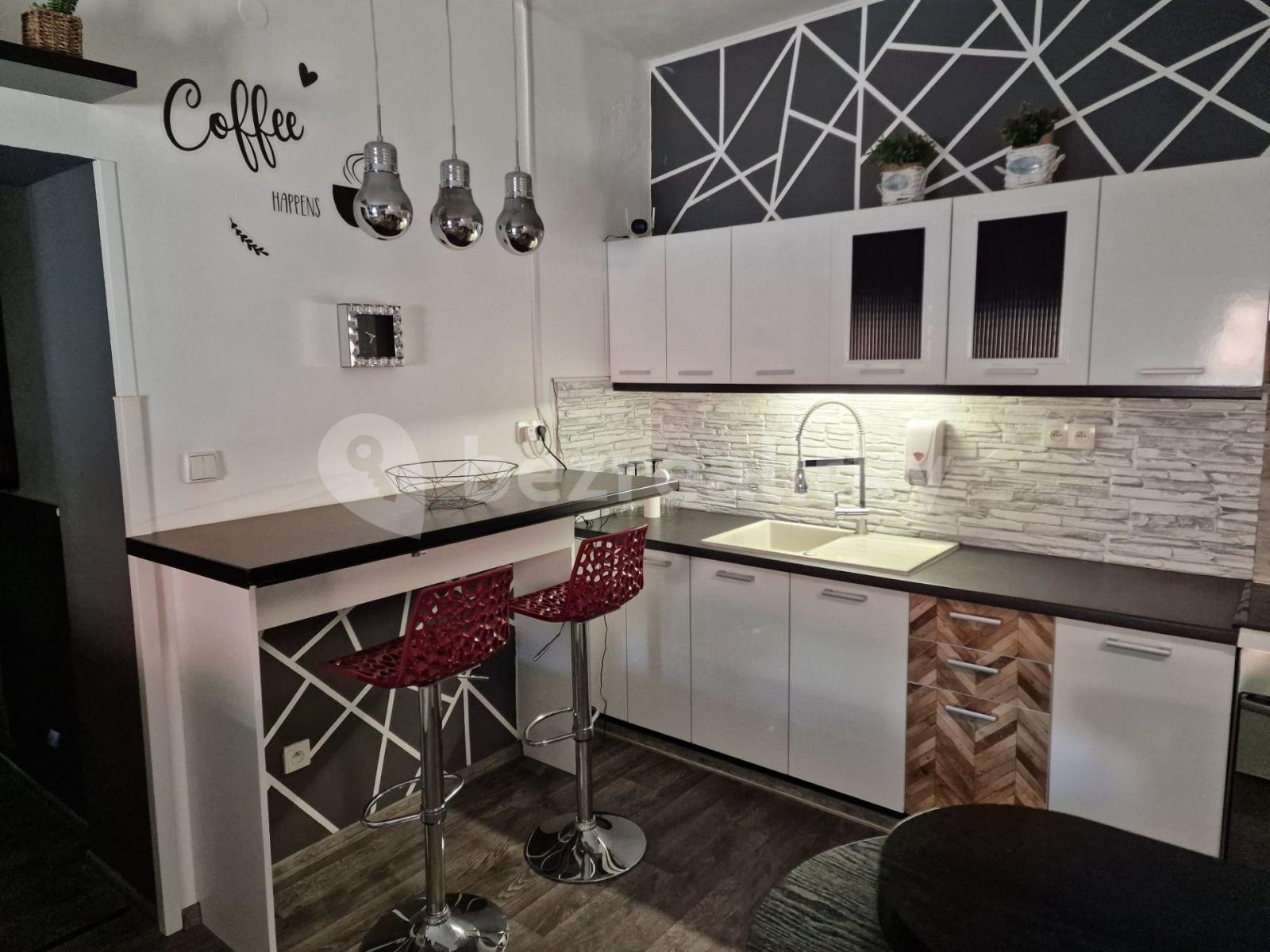 2 bedroom with open-plan kitchen flat to rent, 75 m², Dolní Dobrouč, Pardubický Region