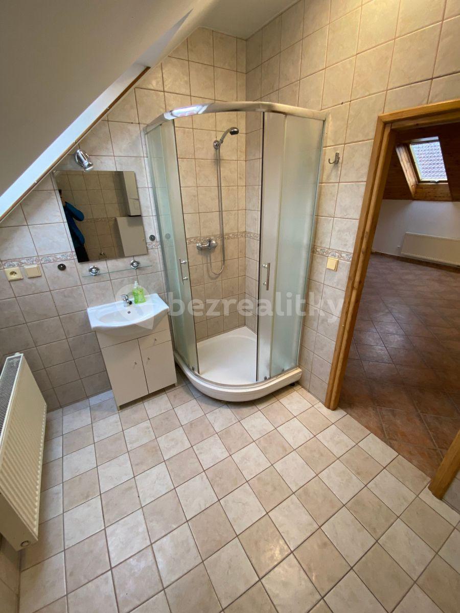 1 bedroom with open-plan kitchen flat to rent, 60 m², Štrossova, Pardubice, Pardubický Region