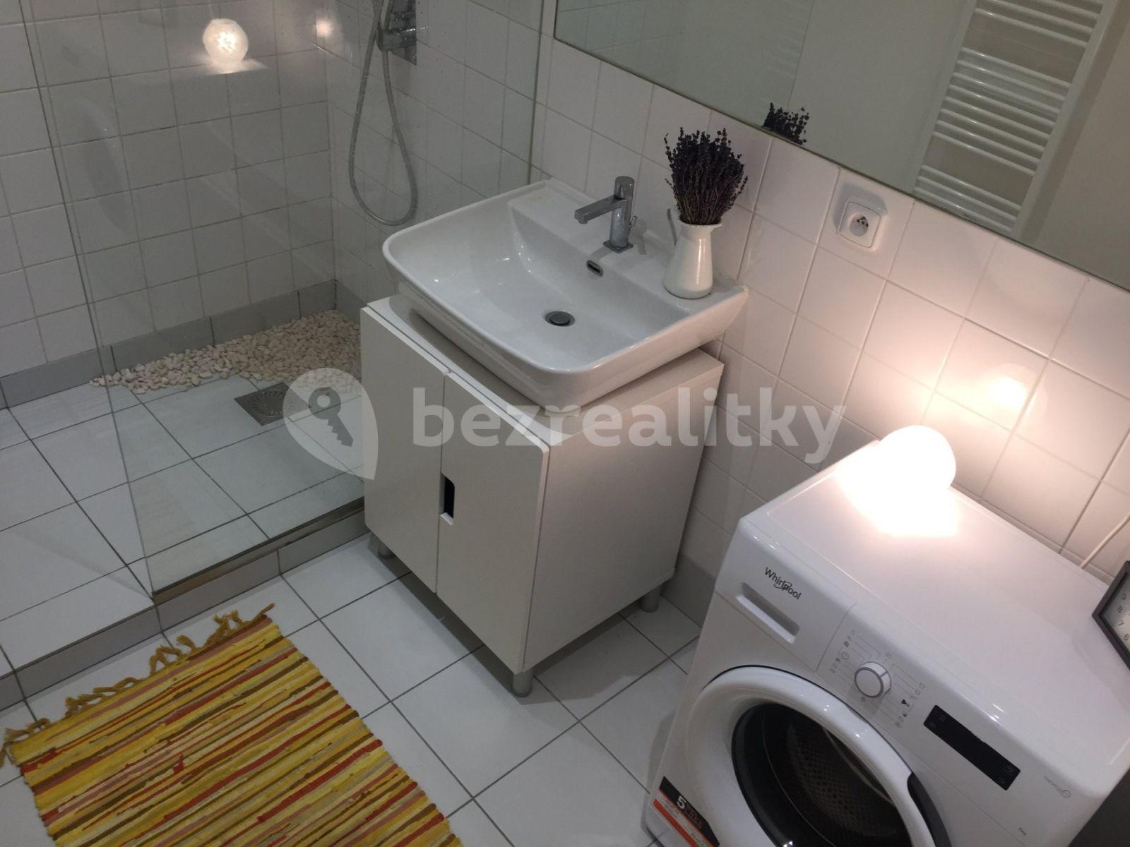 1 bedroom with open-plan kitchen flat to rent, 50 m², náměstí Dr. Václava Holého, Prague, Prague