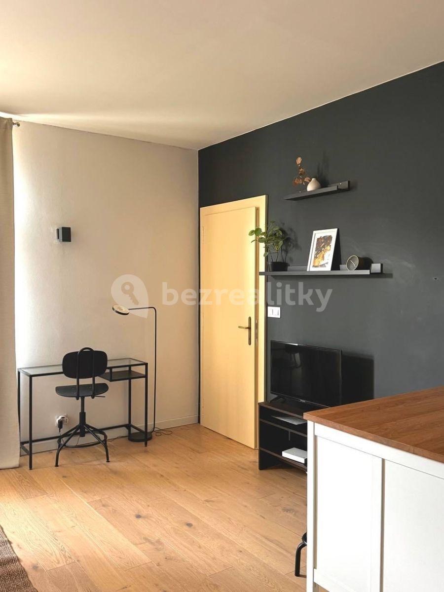 1 bedroom with open-plan kitchen flat for sale, 54 m², Mánesova, Prague, Prague