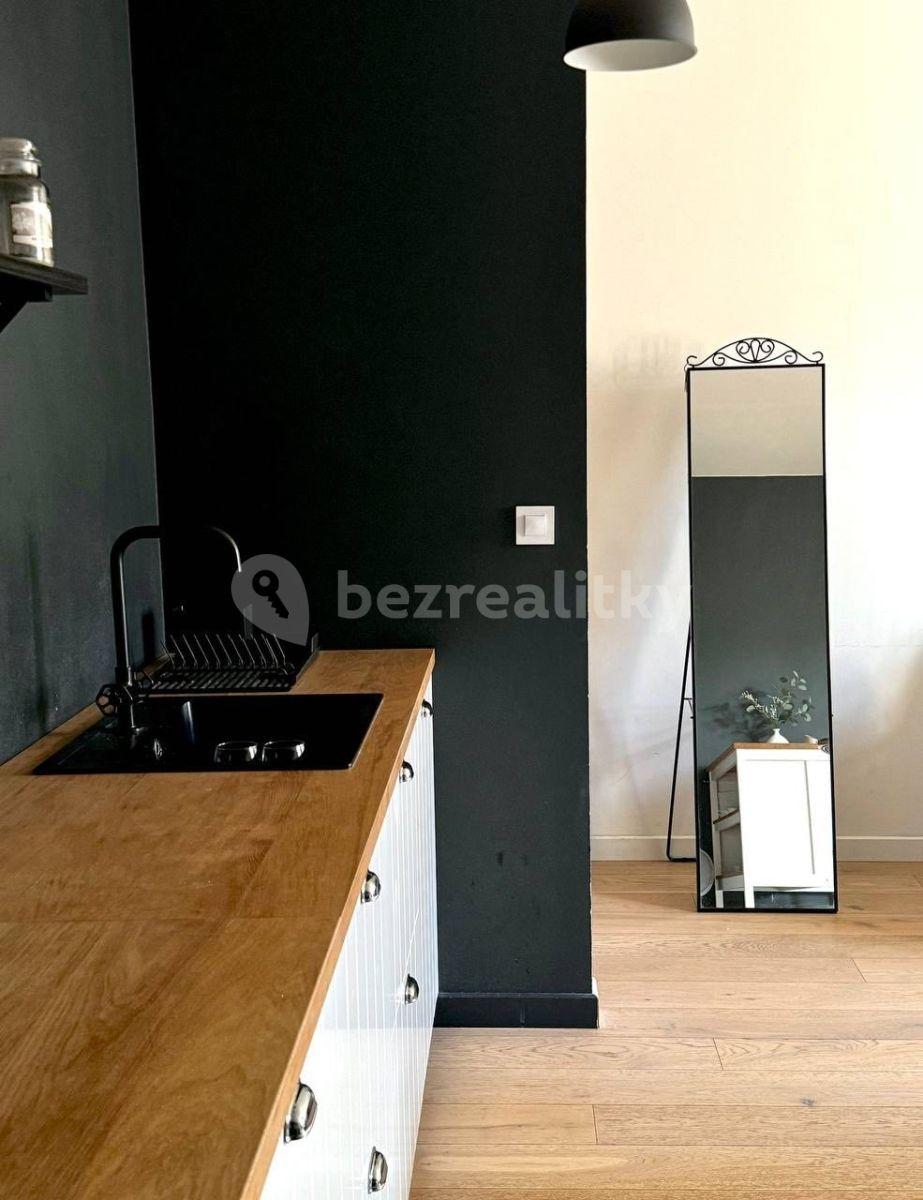 1 bedroom with open-plan kitchen flat for sale, 54 m², Mánesova, Prague, Prague