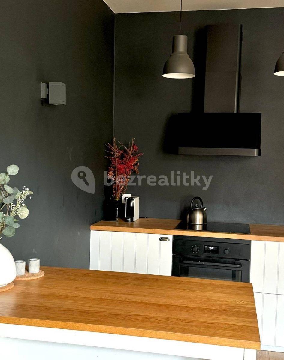 1 bedroom with open-plan kitchen flat for sale, 54 m², Mánesova, Prague, Prague