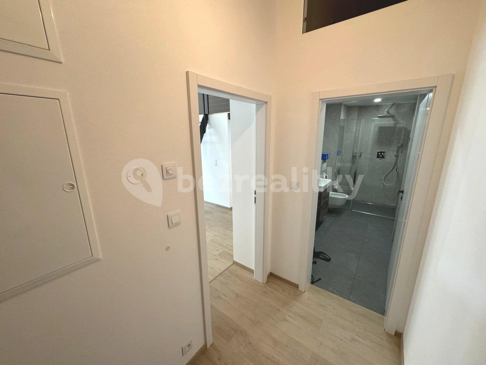 1 bedroom with open-plan kitchen flat for sale, 48 m², Březinova, Prague, Prague