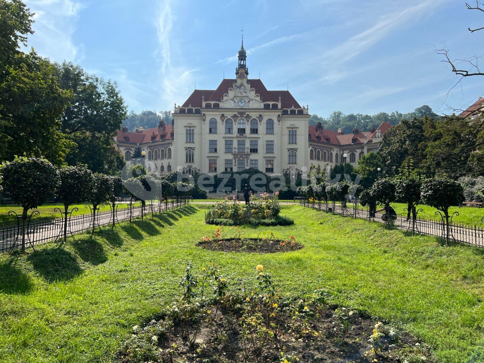 1 bedroom with open-plan kitchen flat for sale, 48 m², Březinova, Prague, Prague