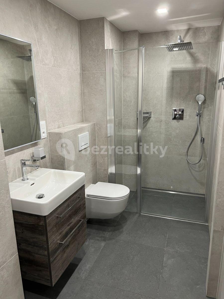 1 bedroom with open-plan kitchen flat for sale, 48 m², Březinova, Prague, Prague